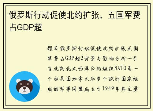 俄罗斯行动促使北约扩张，五国军费占GDP超
